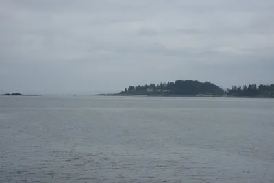 DSC_9850 (Large).JPG